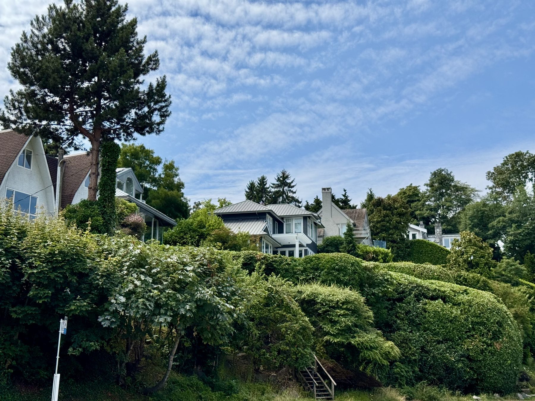 Homes and mature trees near Locarno Beach with a wooden access structure on the slope