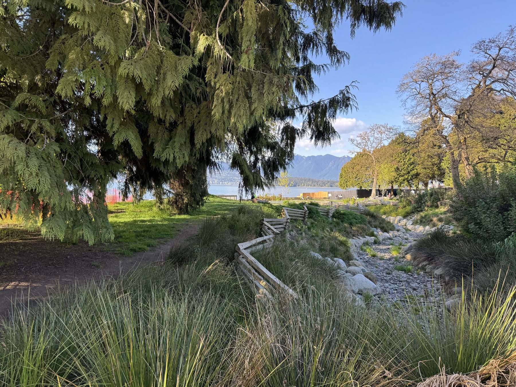 Cedar canopy, shoreline planting, and West Side waterfront landscape
