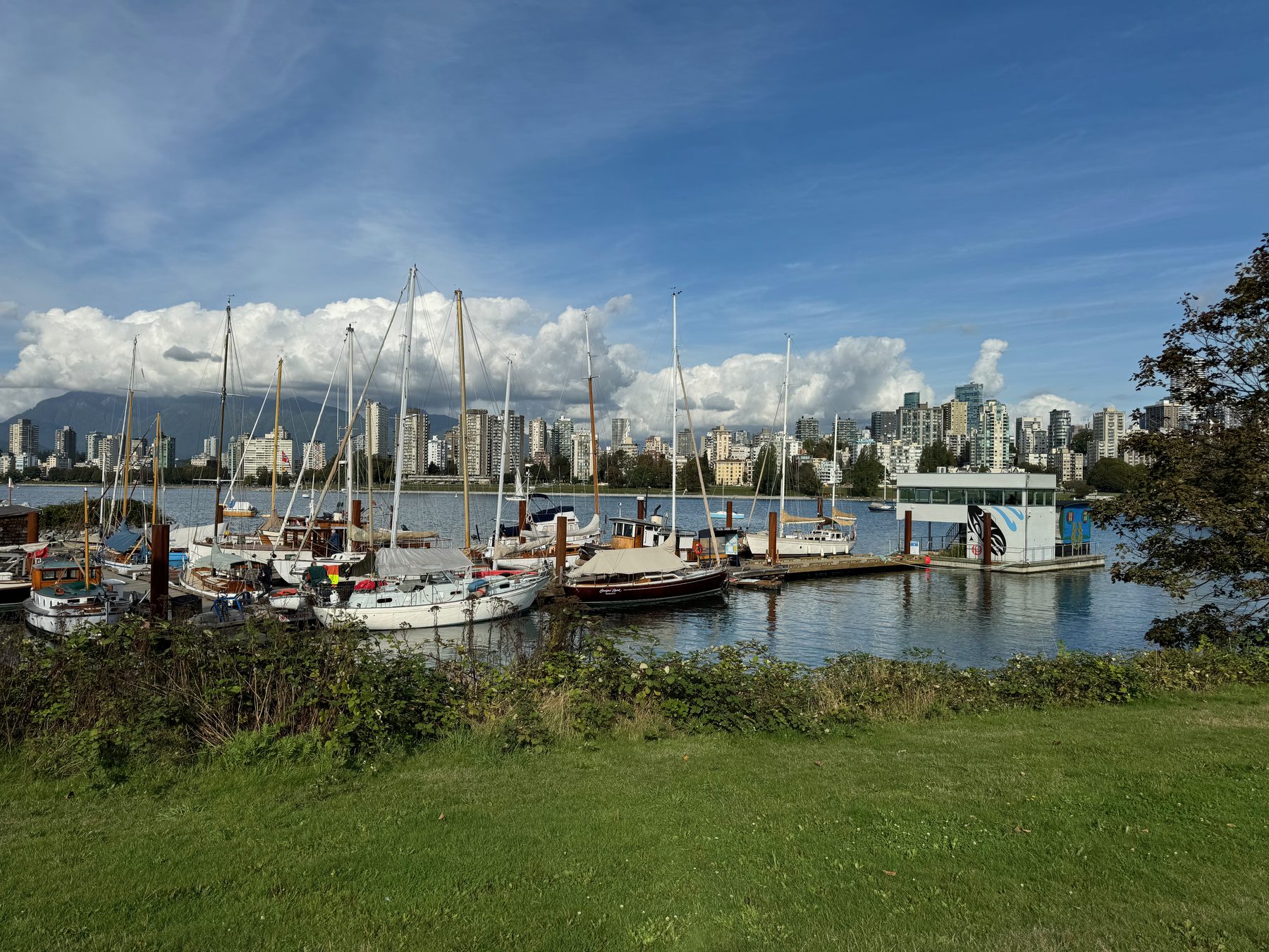 Vancouver marina and skyline from a grassy waterfront edge