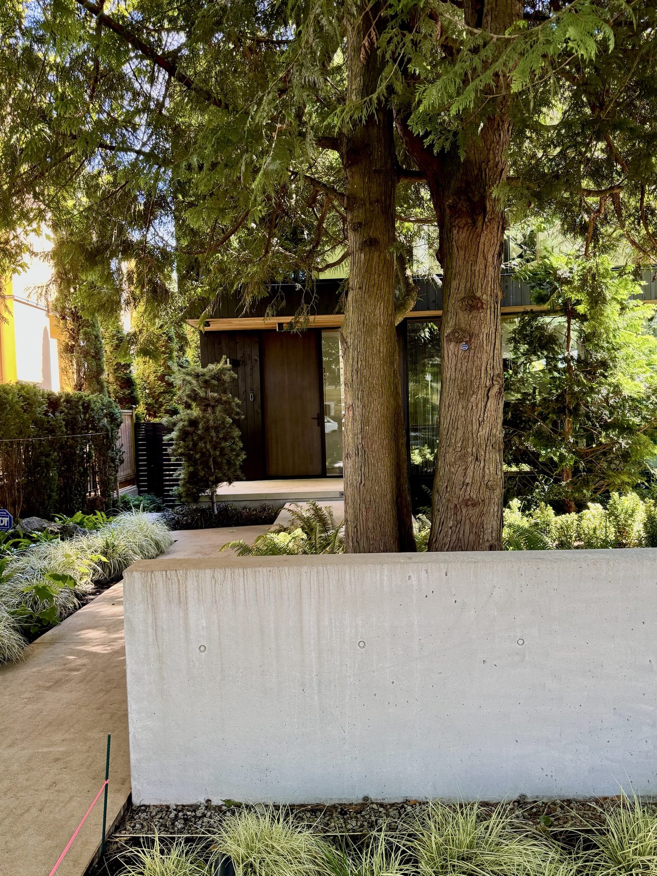 Modern Vancouver Westside home framed by mature trees and layered planting