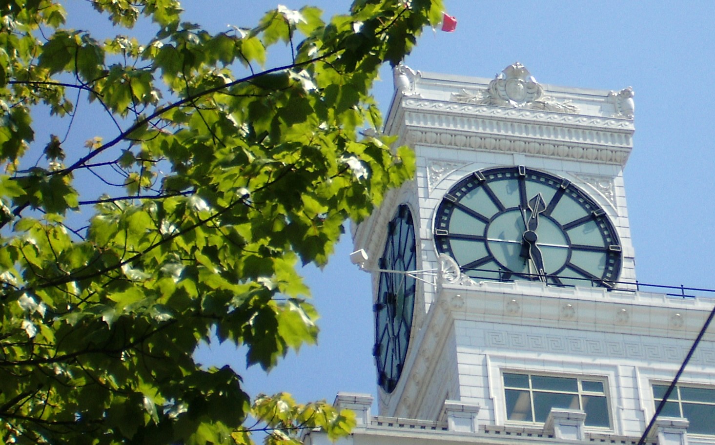 Vancouver heritage clock tower seen through summer leaves
