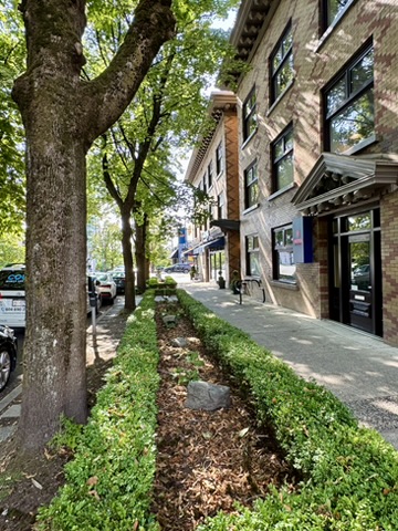 South Granville brick streetscape with mature trees and storefronts in Vancouver